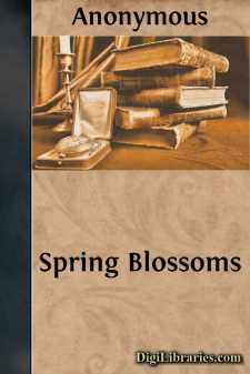 Spring Blossoms