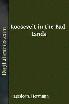Roosevelt in the Bad Lands