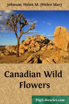 Canadian Wild Flowers