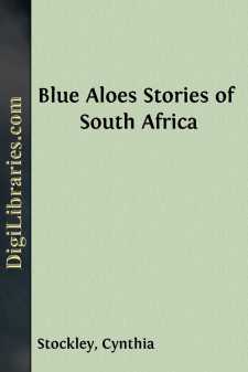 Blue Aloes
Stories of South Africa