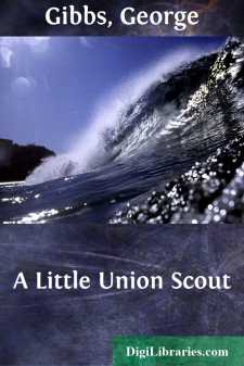 A Little Union Scout
