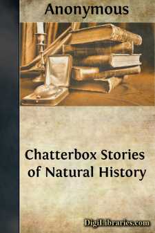 Chatterbox Stories of Natural History