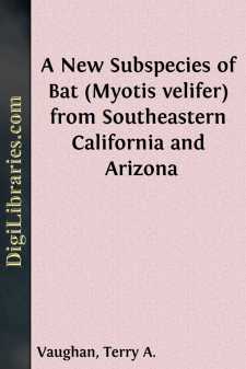 A New Subspecies of Bat (Myotis velifer) from Southeastern...