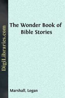 The Wonder Book of Bible Stories