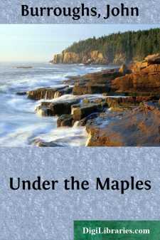 Under the Maples