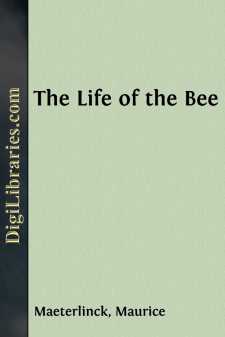 The Life of the Bee