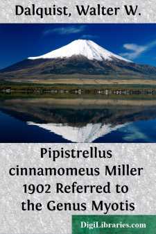 Pipistrellus cinnamomeus Miller 1902
Referred to the Genus Myotis