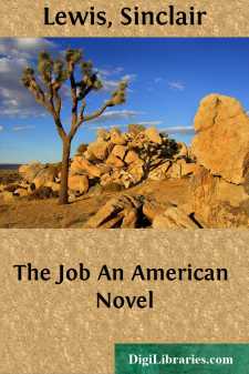 The Job
An American Novel