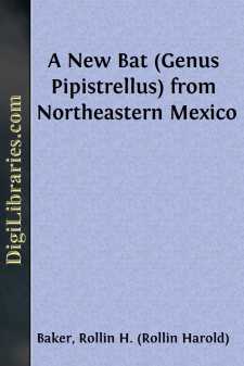 A New Bat (Genus Pipistrellus) from Northeastern Mexico