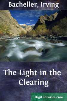 The Light in the Clearing