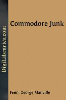 Commodore Junk