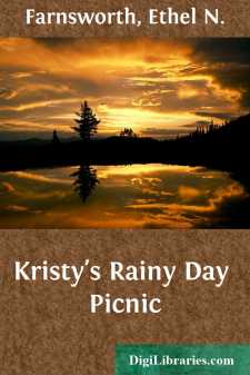 Kristy's Rainy Day Picnic