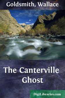 The Canterville Ghost