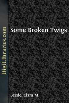 Some Broken Twigs