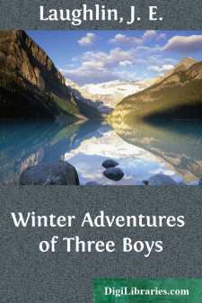 Winter Adventures of Three Boys