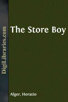The Store Boy