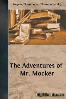 The Adventures of Mr. Mocker