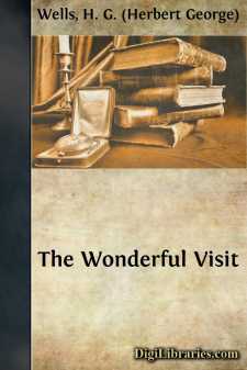 The Wonderful Visit