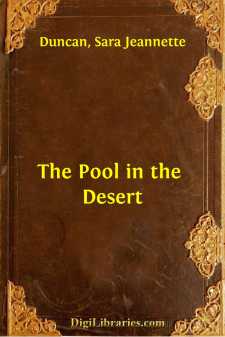 The Pool in the Desert