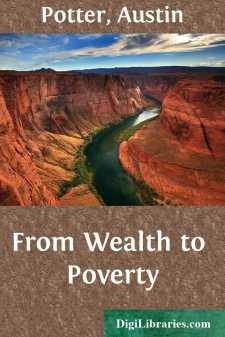 From Wealth to Poverty