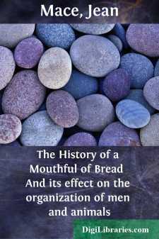 The History of a Mouthful of Bread 
And its effect on the...