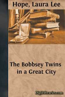 The Bobbsey Twins in a Great City