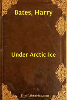 Under Arctic Ice