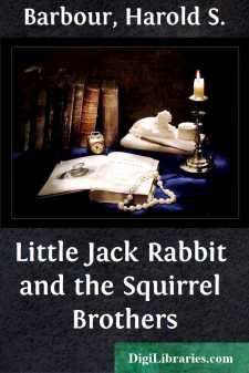 Little Jack Rabbit and the Squirrel Brothers