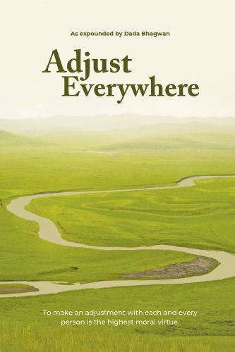Adjust Everywhere