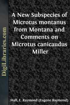 A New Subspecies of Microtus montanus from Montana and Comments...