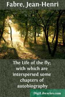 The Life of the fly; with which are interspersed some chapters of...