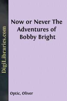Now or Never
The Adventures of Bobby Bright