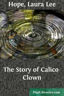 The Story of Calico Clown