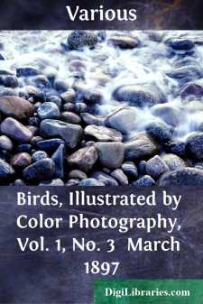 Birds, Illustrated by Color Photography, Vol. 1, No. 3 
March 1897
