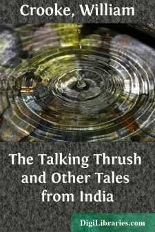 The Talking Thrush
and Other Tales from India