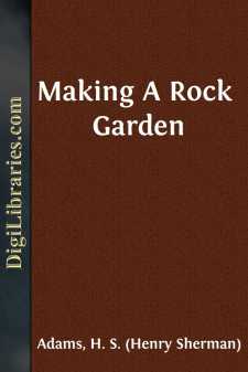 Making A Rock Garden