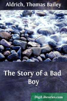The Story of a Bad Boy