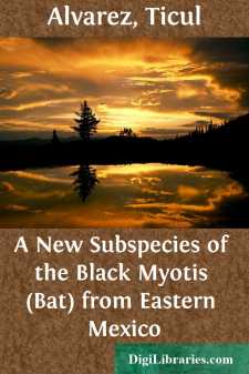 A New Subspecies of the Black Myotis (Bat) from Eastern Mexico