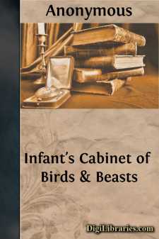 Infant's Cabinet of Birds & Beasts