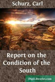 Report on the Condition of the South