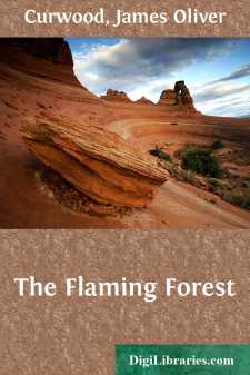 The Flaming Forest