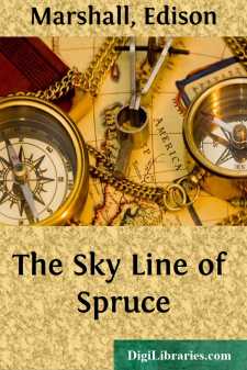 The Sky Line of Spruce