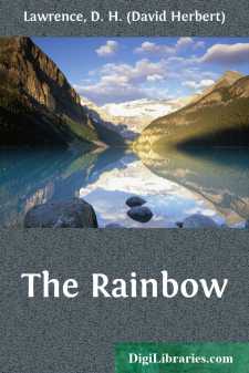 The Rainbow