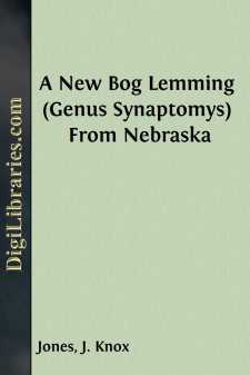 A New Bog Lemming (Genus Synaptomys) From Nebraska