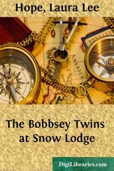 The Bobbsey Twins at Snow Lodge