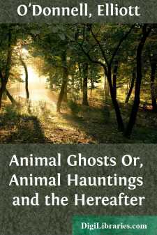 Animal Ghosts
Or, Animal Hauntings and the Hereafter