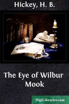 The Eye of Wilbur Mook