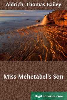 Miss Mehetabel's Son