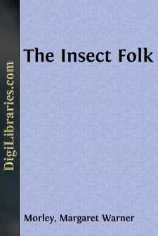 The Insect Folk