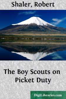 The Boy Scouts on Picket Duty